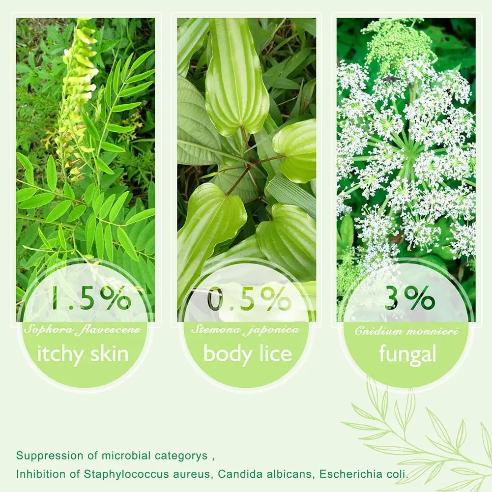 

Herbal Anti-bacterial Cream For External Skin Anti-itch Care Body Cream For Psoriasis Dermatitis Eczema Pruritus