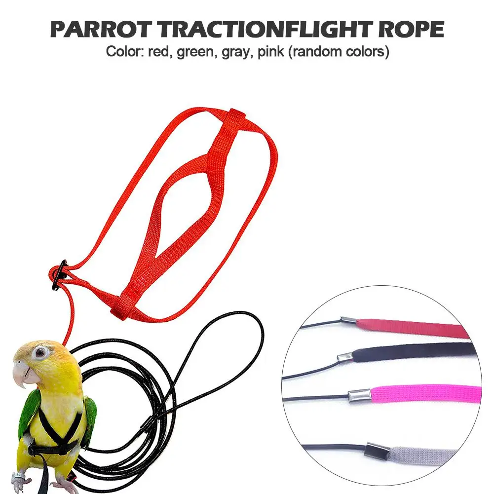 

Parrot Harness And Leash Adjustable Parrots Bird Harness Leash Anti-Bite Training Rope Outdoor Flying Harness Leash For Birds