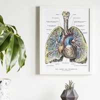 retro human anatomy diagram medical wall painting heart poster canvas art educational painting modern home hospital decoration