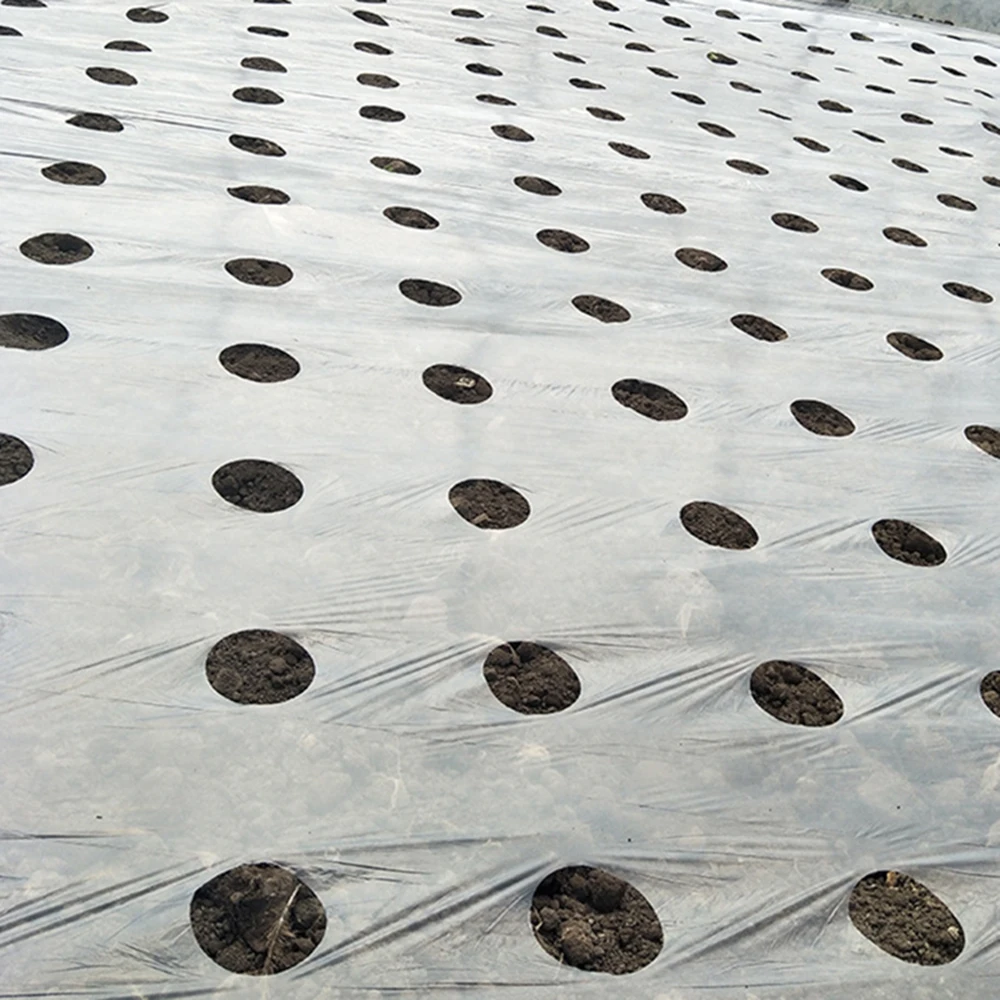 

Vegetable Perforated Film Garden Membrane Agricultural Black Greenhouse