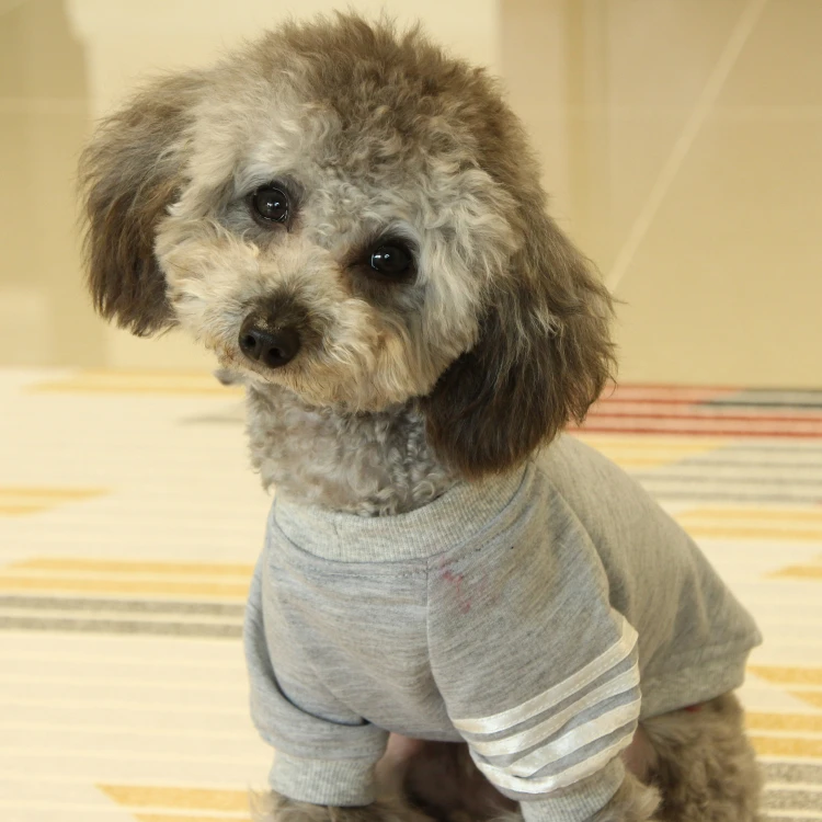 Милая толстовка с капюшоном для собак свитер принтом одежда куртка Sudaderas Perro