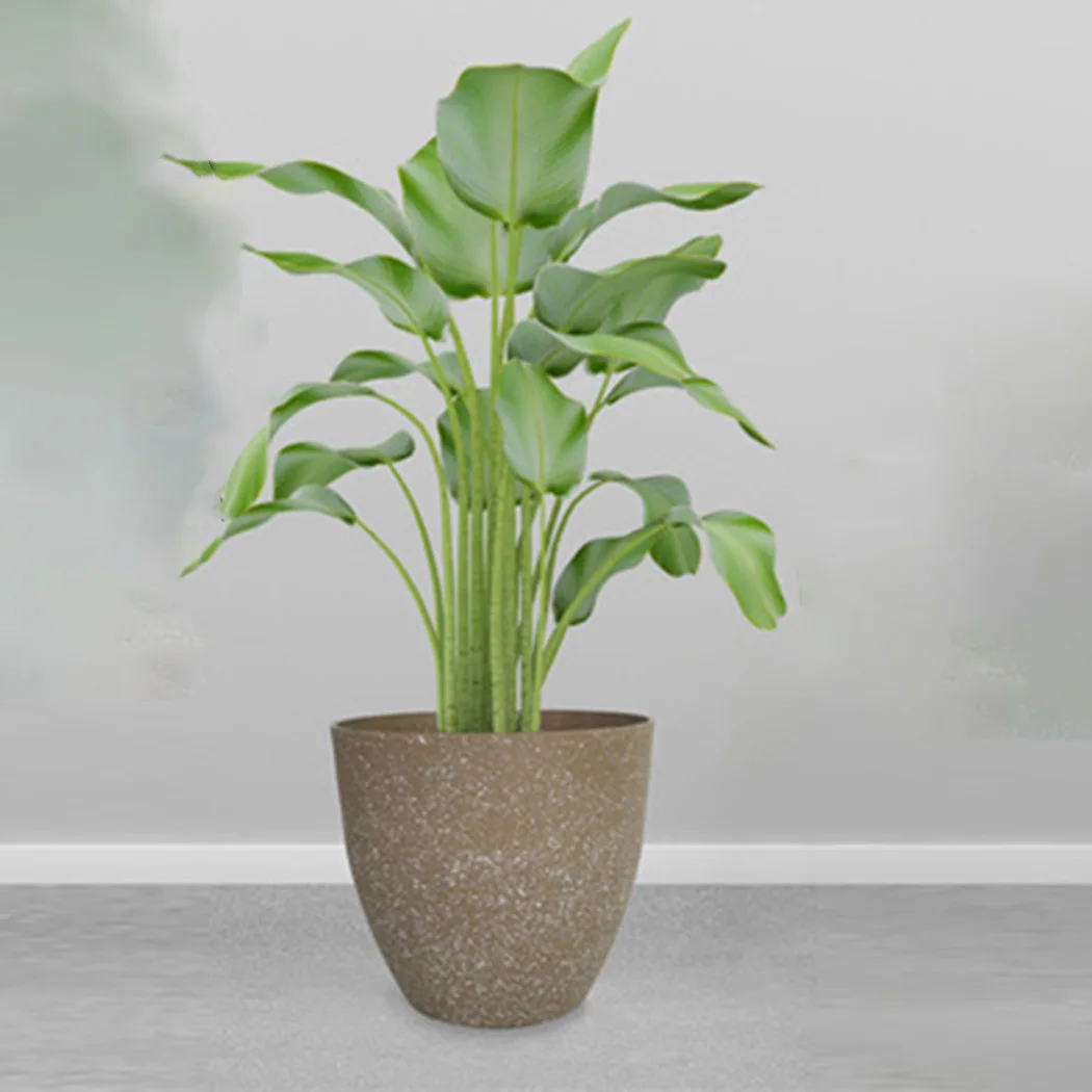 

Succulent Flower Pot Pots For Garden Plastic Planters Modern Gardening