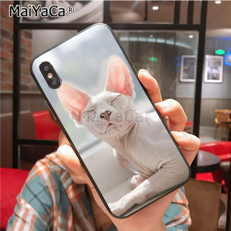 Уникальный силиконовый чехол sphynx cat для iphone 11 12 Pro 6S 6plus 7 7plus 8 8plus X 5 5S Чехол 12mini |