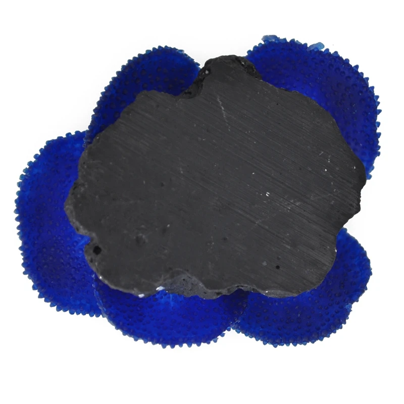 

Aquarium plant artificial coral blue