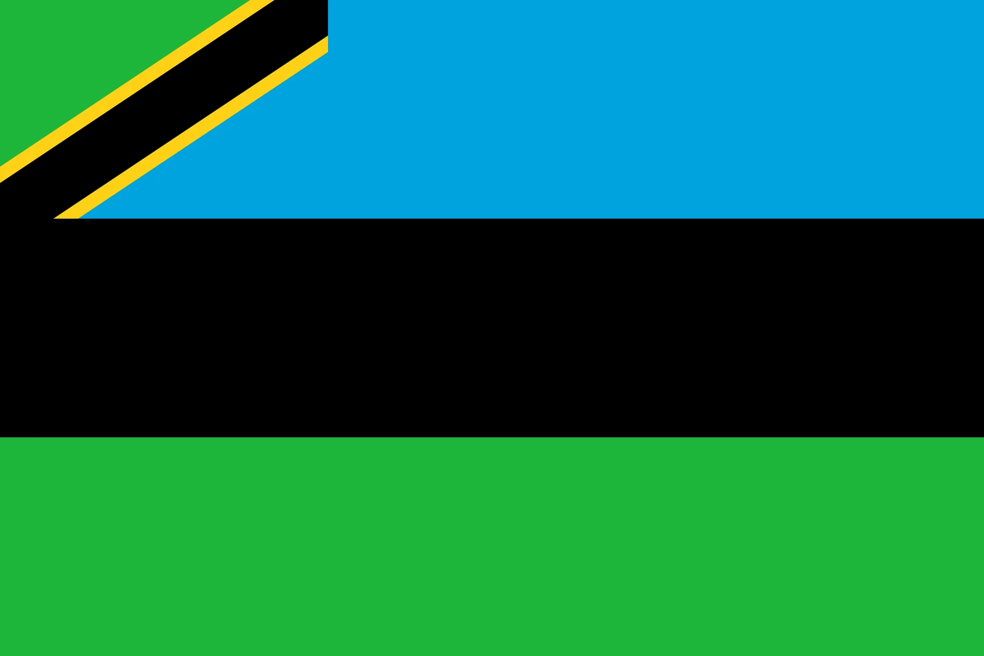 

ELECTION 90x150cm Zanzibar flag