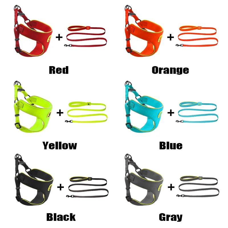 С воздухопроницаемой сеткой с изображением собаки жгут поводок набор