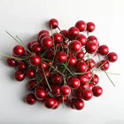 Украшения для рождественской елки, 100 шт., с жемчугом, разноцветные ягоды, искусственные тычинки для цветов, Вишенки, сделай сам, для свадебного торта, подарочной коробки, венков