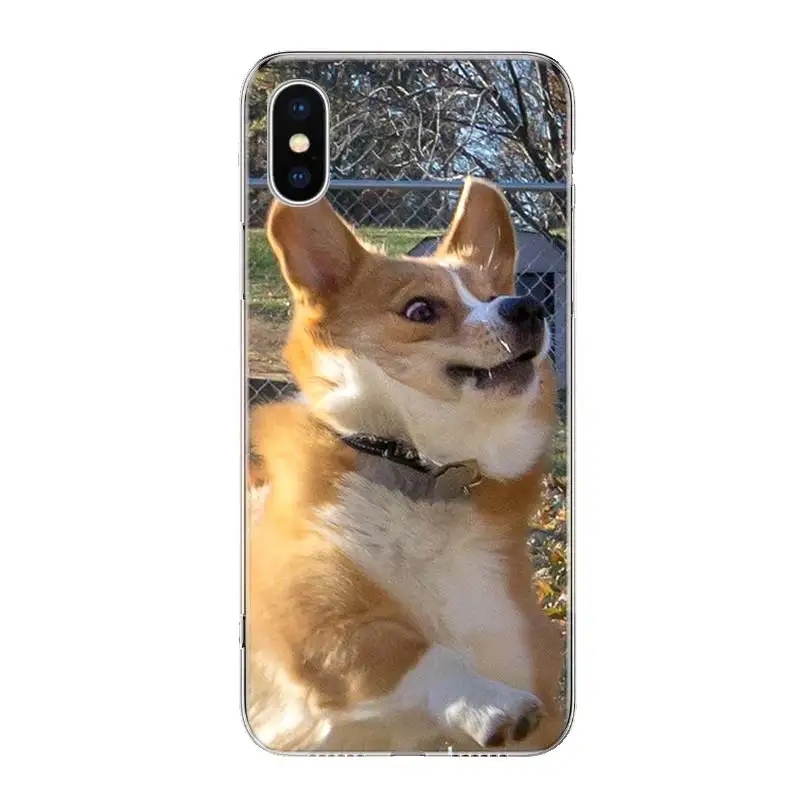 Чехол для телефона с милыми животными корги iPhone 14 13 11 Pro 12 Mini 7 8 6 6S Plus + XR X XS MAX SE 5 -
