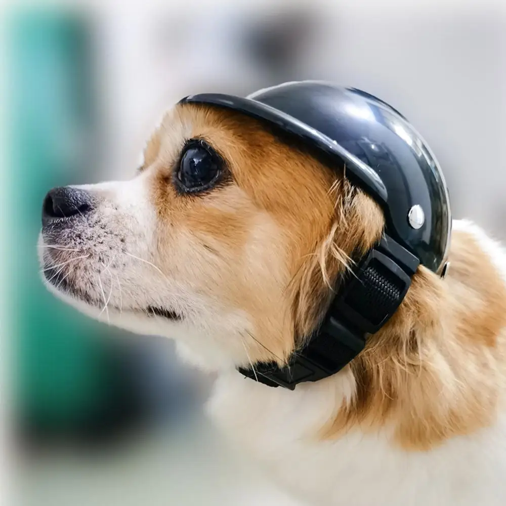 Новые Pet шлем собак для мотоциклетного шлема Аксессуары и кошек Игрушка собаки в