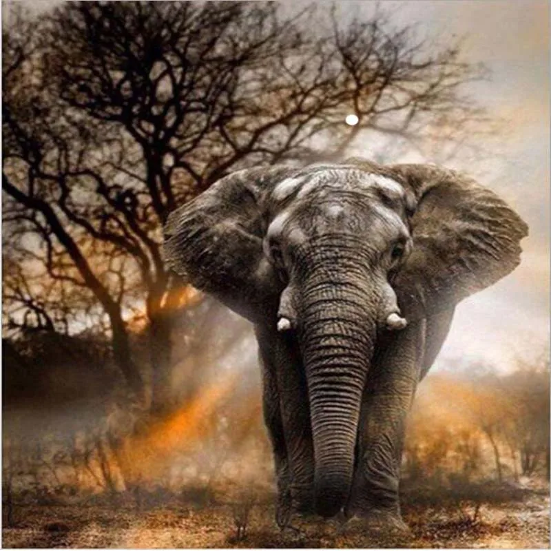 

New 5D DIY Diamond Drawing Painting Elephant Animal Diamond Mosaic Cross Stitch Full Drill Diamond Embroidery Decoration Drawing