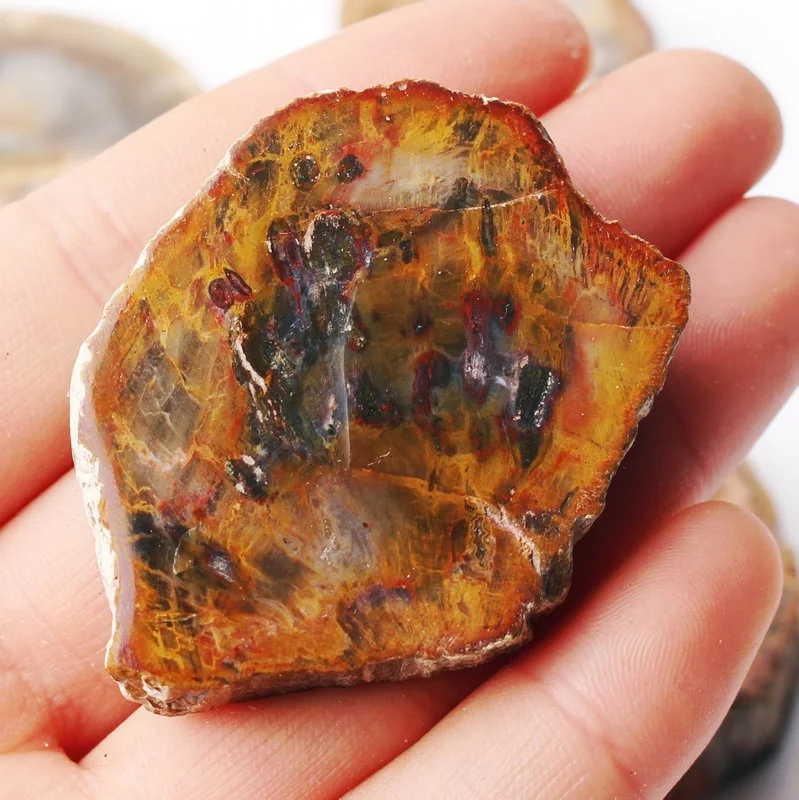 1 шт. натуральное дерево минерал образец для домашнего декора полированный