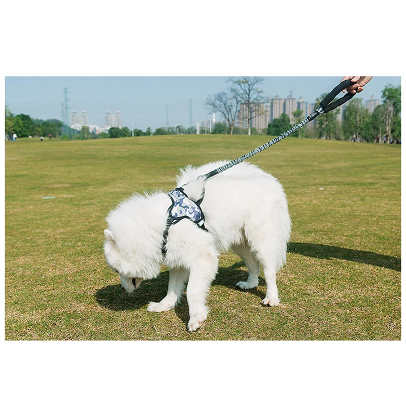 Высококачественные товары для домашних животных многофункциональная