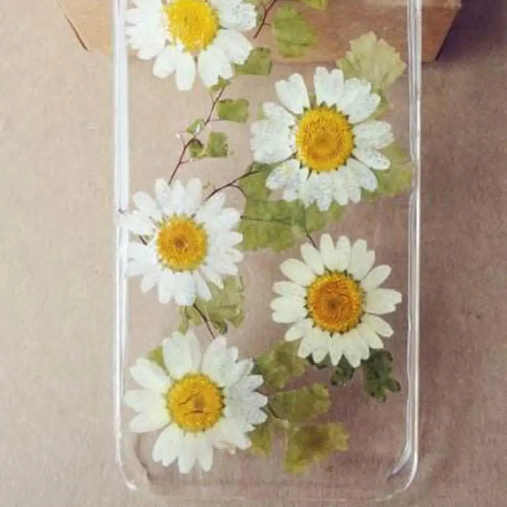 

30pcs Daisy Dried Flowers DIY Handmade Plant Specimen Bracelet Necklace Pendant Phone Case Make Material Made From Real Flowers