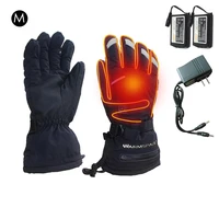 motorcycle electric heated gloves temperature 5 speed adjustment usb hand warmer skiing safety constant temperature warm gloves