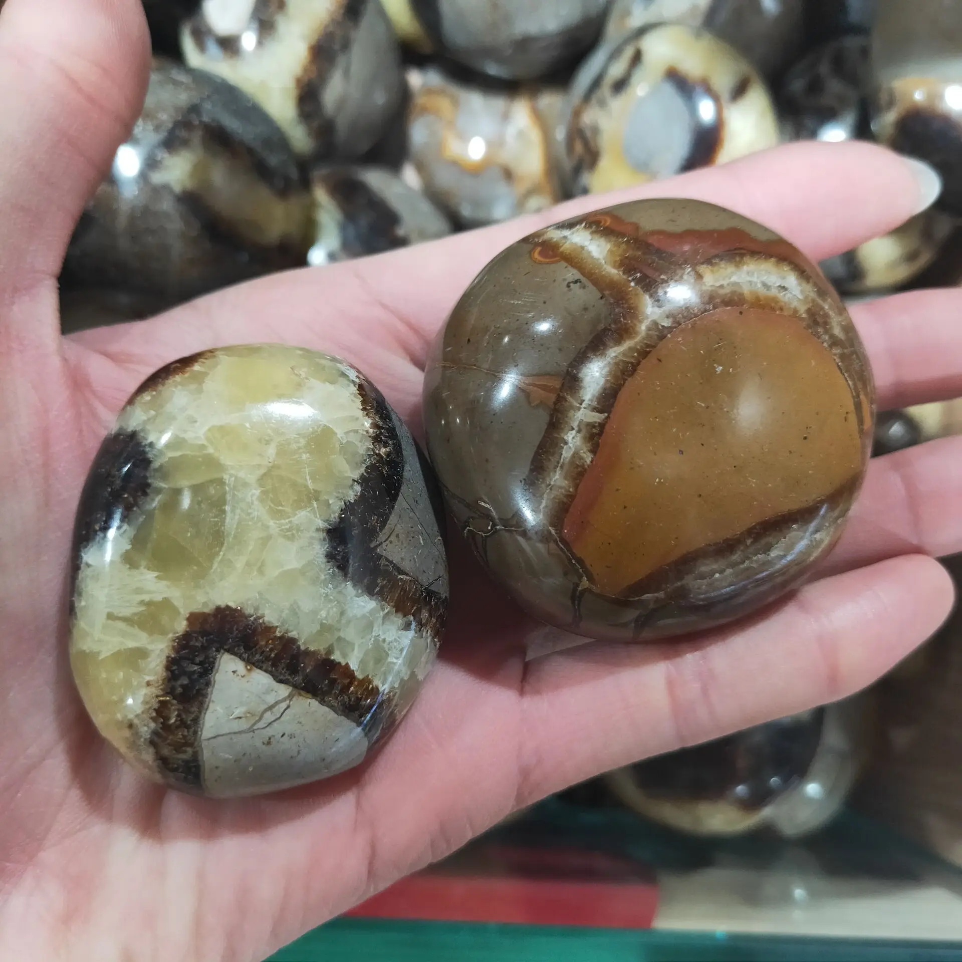 1 шт. натуральный Septarium Septarian ладони массаж камнями минеральные образца целебный