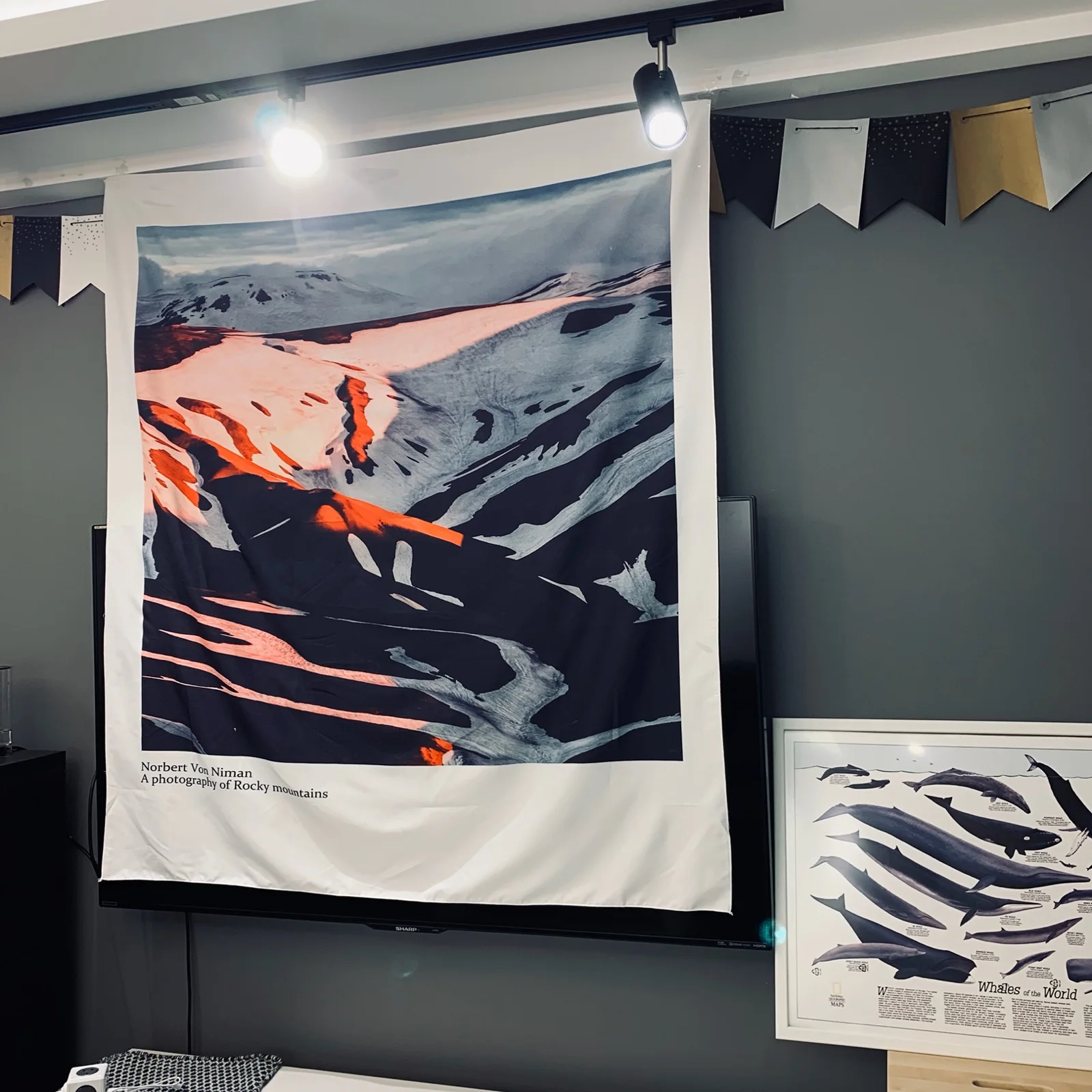 

Modern Art Tapestry Wall Hanging Aesthetic Nordic Style Large Tapestry Landscape Mountain Wandteppich Room Decoration EB50GT