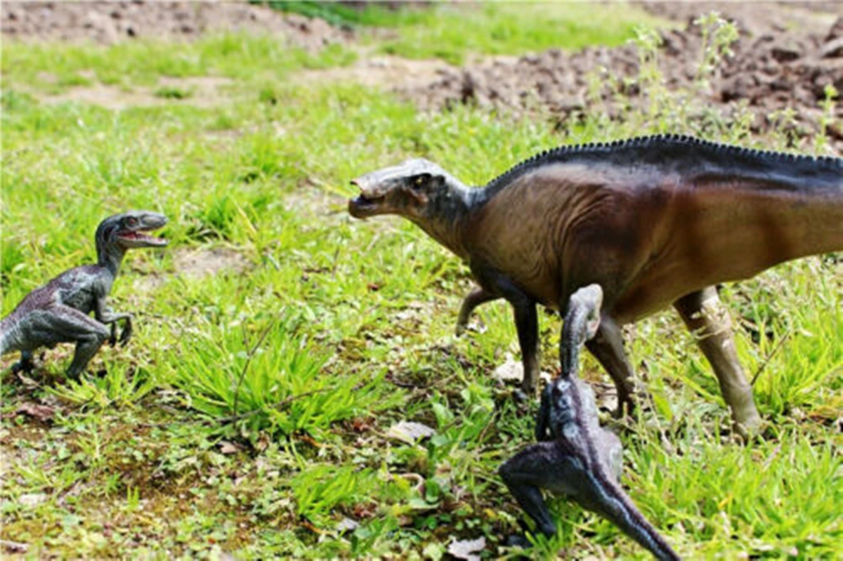 PNSO 14 5 &quotShantungosaurus Юрский большой динозавр ПВХ Реалистичная животная модель