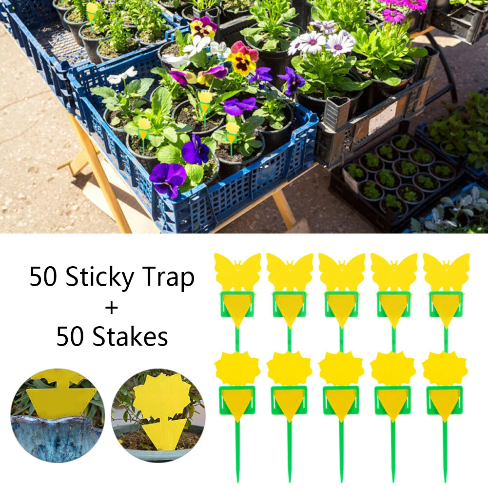 

For Indoor Sticky Traps Outdoor Plastic Butterfly Polygon 17.5x6.5x0.2cm