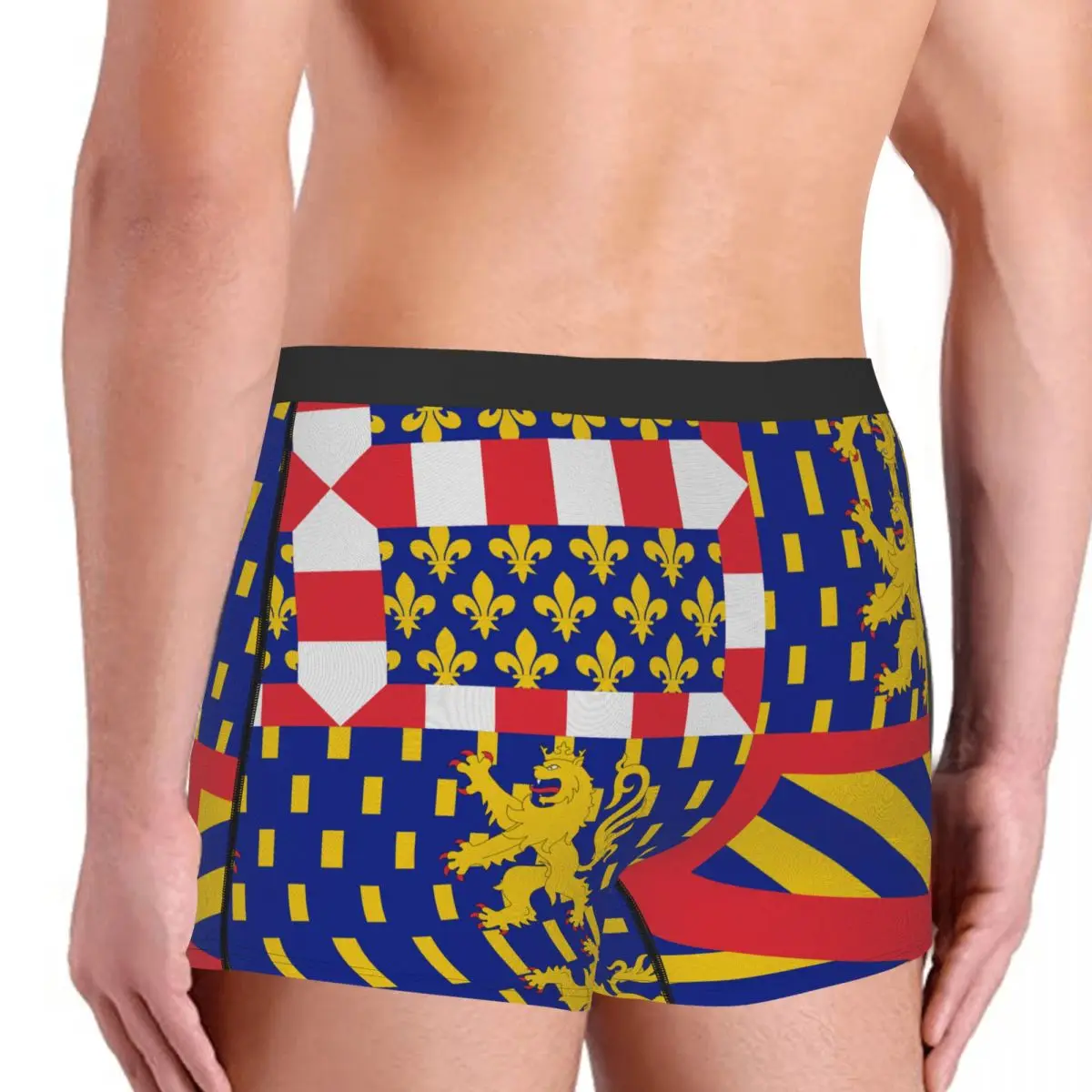 Flag Of Bourgogne-Franche-Comté Men's Boxer Briefs Flags of the regions of France Funny Novelty elastic pants for men
