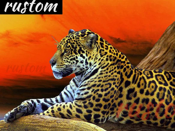 

Алмазная живопись, квадратные животные, вышивка крестиком, бриллиантовая вышивка, ручная работа, домашний декор