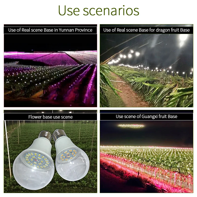 

12W 15W LED Grow Light Bulb Full Spectrum Hydroponic Plant Growth Light Vegetables Flower Plant Natural Growing Lamps