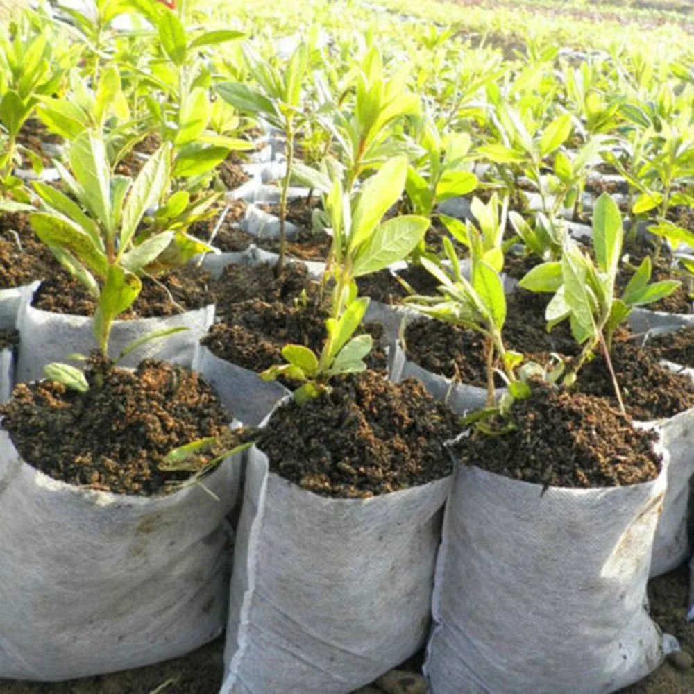 

200pcs Set Gardening Plant Grow Bag Pots For Hotel Household Decoration Display