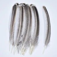 natural eagle feathers for crafts feathers decoration carnaval assesoires plumas carnaval feathers decoration feather decor diy