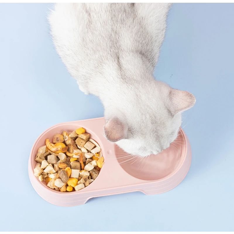 

Pet Double Bowl Pure Color Nordic Concise PP Candy Color One Bowl Dual Purpose Cat Puppy Pet Bowl Pet Supplies