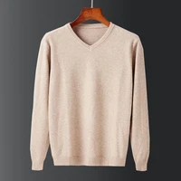 2021 autumn new mens v neck thin sweater classic style solid color business casual pullover mens brand clothing