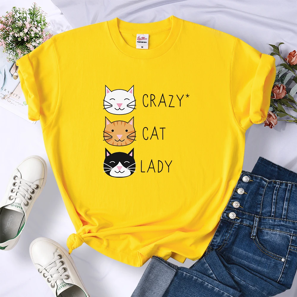 Loose Casual Crazy Cat Lady Cute Hip Hop T Shirts Women Fashion Sweat Clothing Summer Tops New Crewneck Womens T-Shirts | Женская одежда