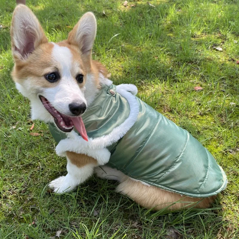 

Thicken Pet Dog Clothes Winter Warm Coat Small Dog Clothes Dog Down Jacket Puppy Outfit Puppy Coat Chihuahua Shih Tzu Clothing