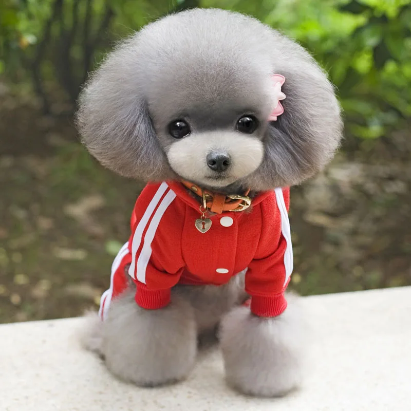 

Pet Dog Clothes Fashion Dog Clothes for Small Dogs Jumpsuit Coat Chihuahua French Bulldog Puppy Clothing Autumn Winter Overalls