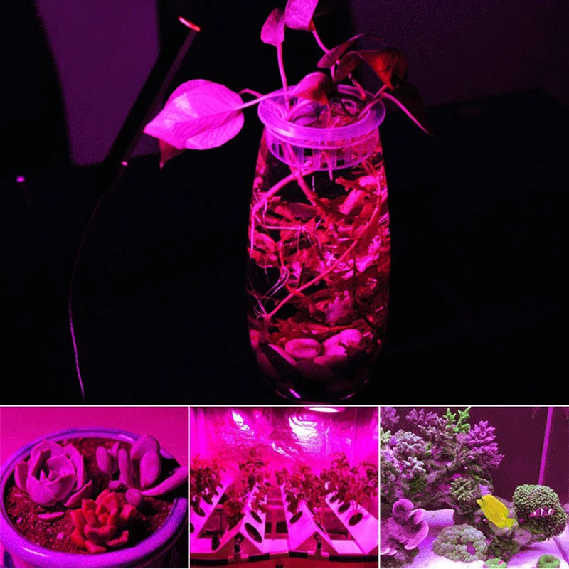 

LED Grow COB Light Chip Full Spectrum AC 220V 10W 20W 30W 50W No need driver For Growth Flower Seedling Grow Plant Lighting