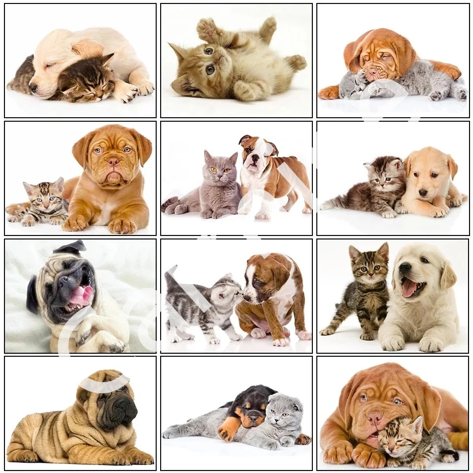 

Алмазная 5D картина «сделай сам», вышивка крестиком с изображением животных, собаки, кошки, самодельная мозаика, вышивка на стену, полное кру...