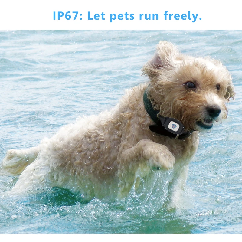 Водонепроницаемый Домашний GSM трекер GPS для собак локатор трекинг Искатель