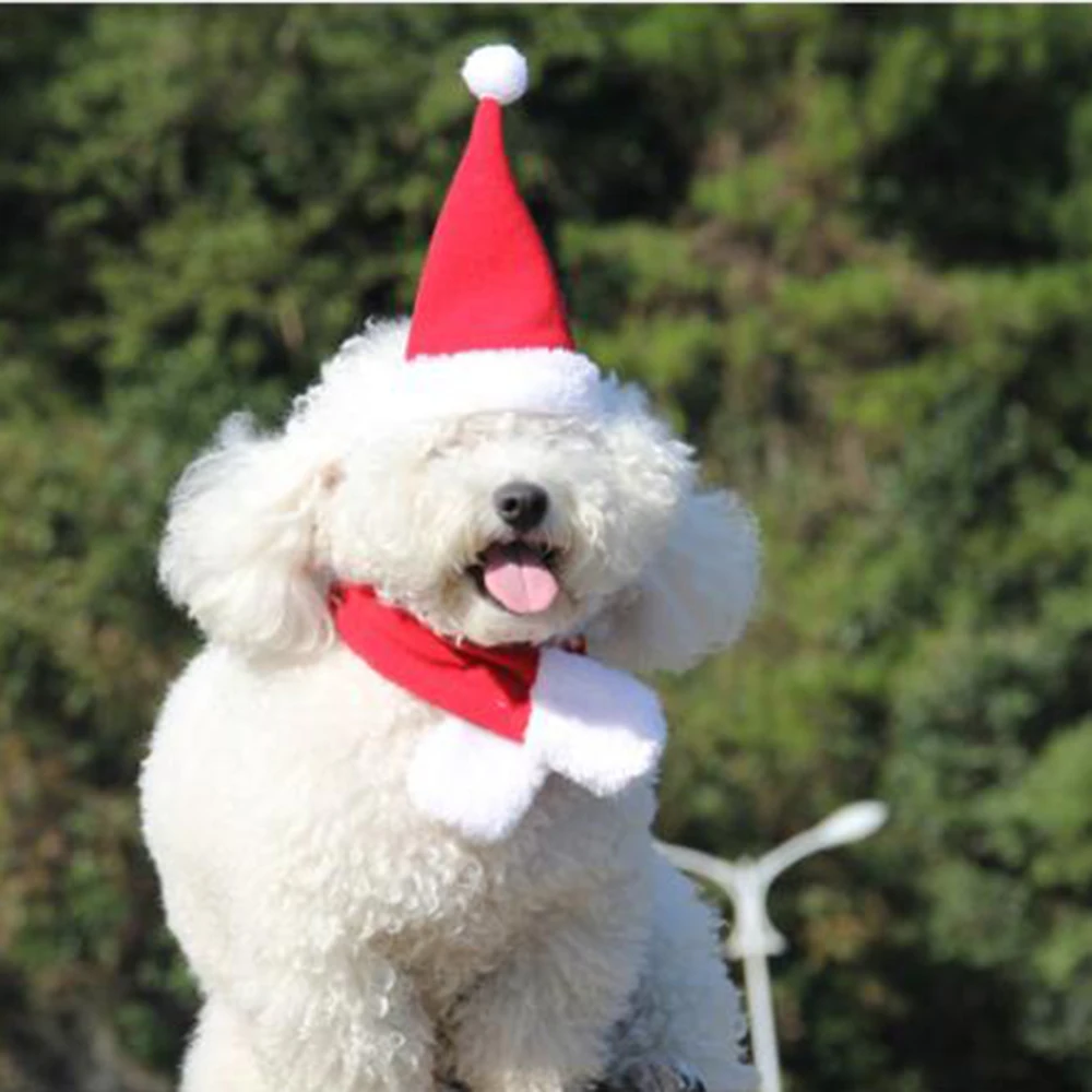 Рождественская домашняя собака кошка Санта шляпа шарф набор головной убор