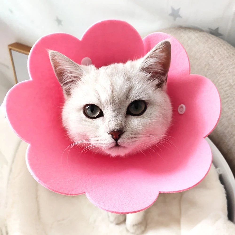 

1pcs Cute Pet Protective Collars for Dogs Cats Wound Healing Protection Dog Cat Collars Anti-Bite Neck Cone Recovery Circle