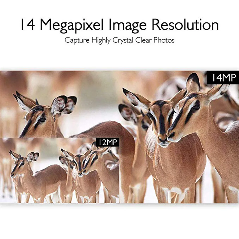 AKASO Trail игровая камера 14MP 1080P ночное видение дикая природа Охота Скаутинг Cam IP66 водонепроницаемый 120 ° угол Дикая камера Экшн-камера