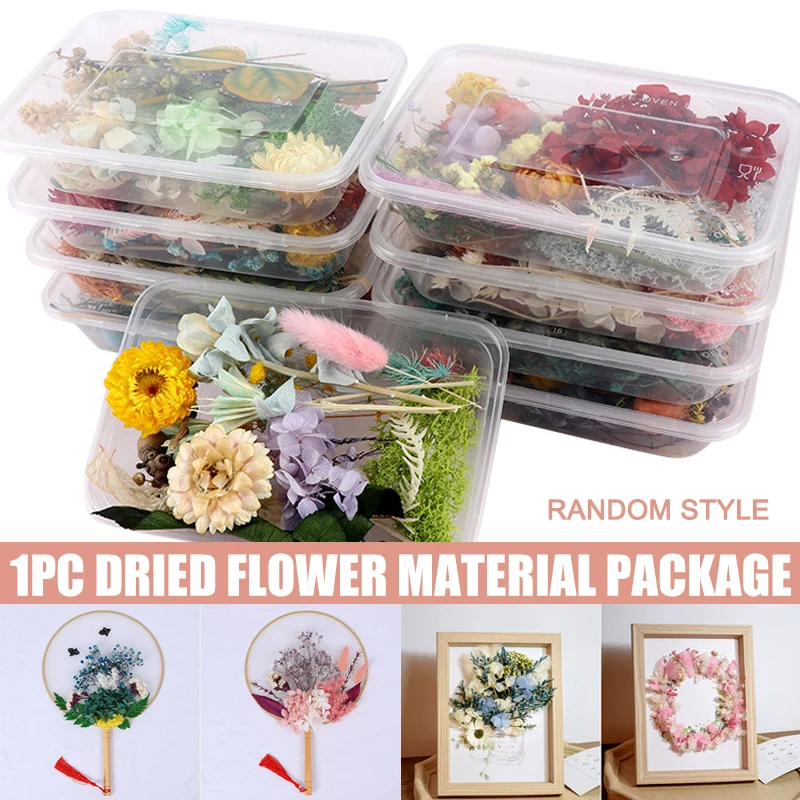 

Pressed Flower Mixed Dried Flowers DIY Art Floral Decors Collection Gift Dies Scrapbook Craft Embellishments Materials