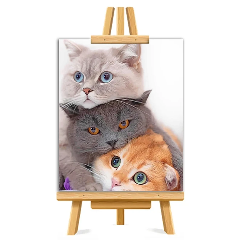 

Cute kitties arte painting by numbers with frame crafts for adults decorative canvas acrylic paint pictures on the wall