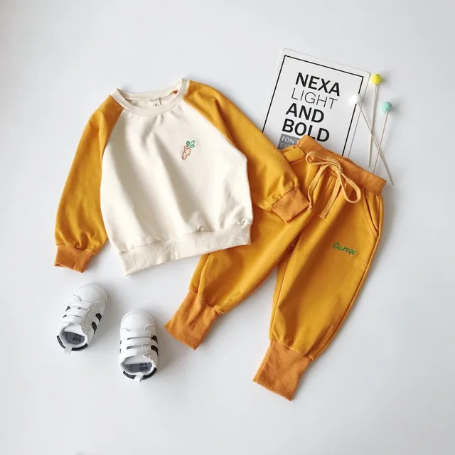 Комплект одежды для маленьких девочек коллекция 2019 года осенне-зимняя одежда