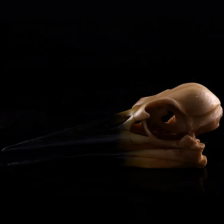 Птица динозавр искусственное изделие украшение для дома животное Череп модель