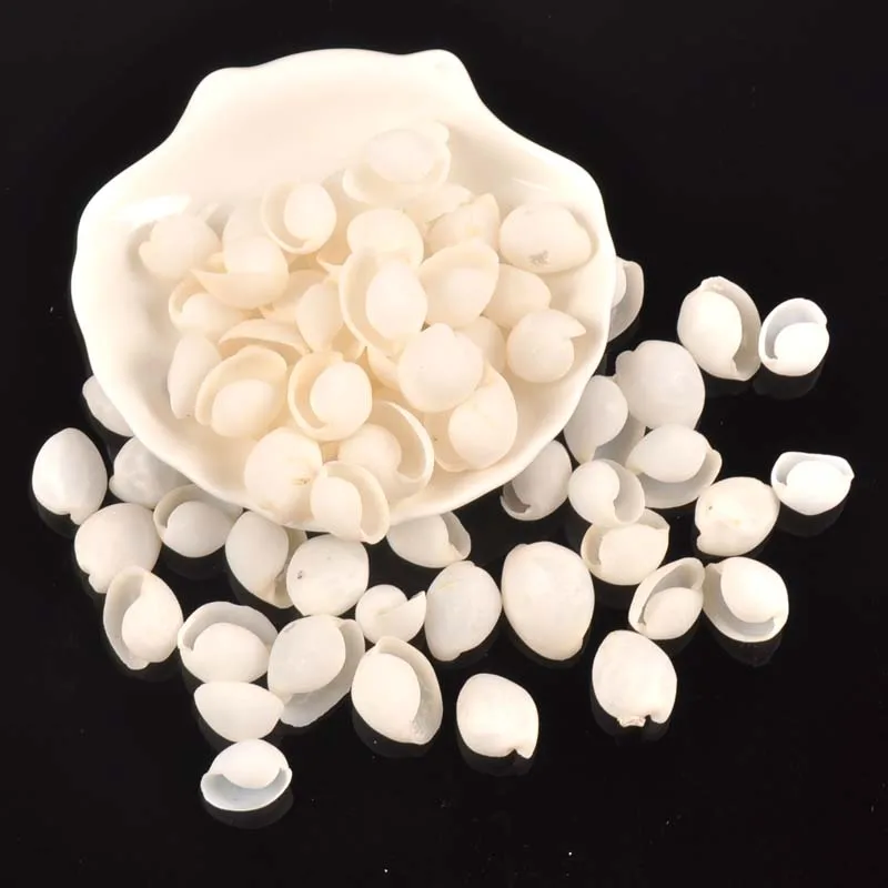 

20pcs White Mini Natural Spiral Shell Scrapbooking Craft Seashells For Glass Bottle Home Diy Decoration TRS0420