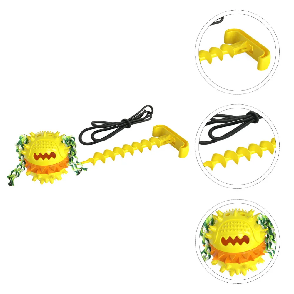 

Dog Molar Squeaky Bouncing Treat Outdoor Interactive Dog