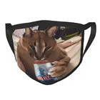 Floppa Cute37 QB аниме многоразовая маска для лица женская маска с фильтром забавная маска для лица