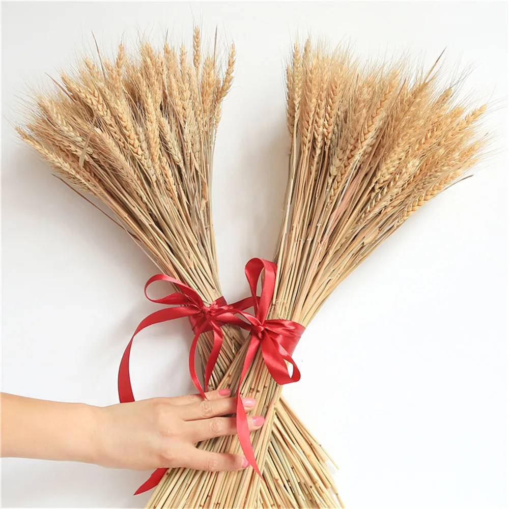 

50 Pcs Wheat Ear Flower Natural Dried Flowers For Wedding Party Decor DIY Craft Flower Home Decor Wheat Bouquet