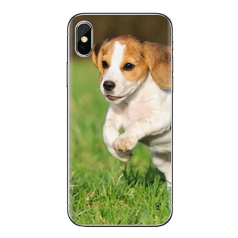 Собака породы Бигль Щенок прозрачный мягкий чехол Чехлы для Samsung Galaxy J1 J2 J3 J4 J5 J6 J7 J8