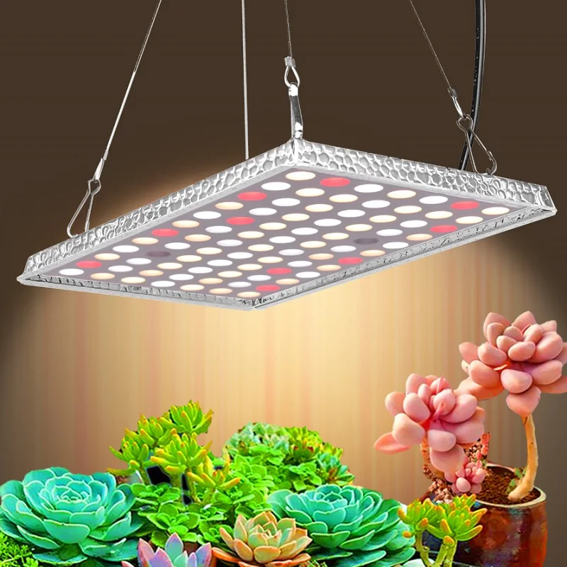 Grow Light High Yield 2.5g/w Samsung Led Chips lm281b Indoor Vertical Farming Grower Choice Mushroom Hydroponic Grow Kit