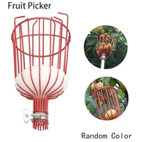 new design fruit picker with sponge random color basket head harvester fruits catcher citrus pear collector garden tool
