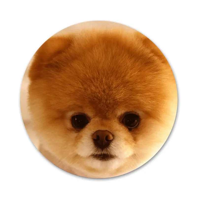 Брошь значок на булавке в виде собаки померанского шпильки аксессуары для одежды